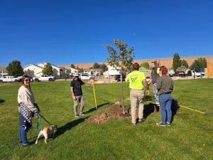 Jackpot NV tree planting