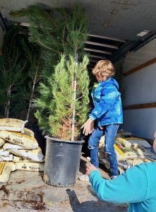 Beatty Tree Planting