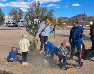 Beatty Tree Planting